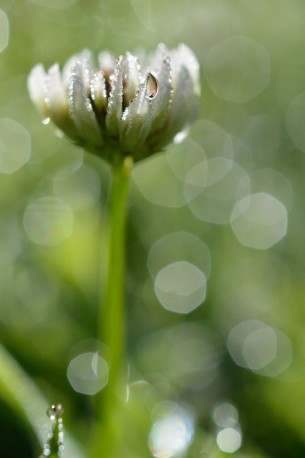 Jérôme Geoffroy est photographe et formateur. Auteur de plusieurs ouvrages techniques sur les reflex numériques, il est un des plus grands spécialistes de la macrophotographie.