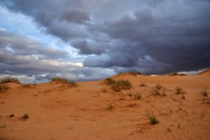 Sahara algérien
Photo : BOUDJOUABI Thameur