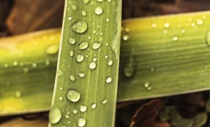 Jour de pluie
Photo : Cleomenes ROMERO