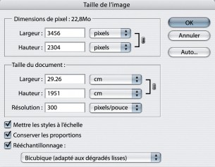il arrivera immanquablement que vous désiriez employer une image qui n’est pas assez grande. Voici comment la mettre à l'échelle grâce à Photoshop !