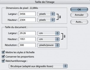 il arrivera immanquablement que vous désiriez employer une image qui n’est pas assez grande. Voici comment la mettre à l'échelle grâce à Photoshop !