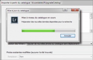 Lors de chaque nouvelle version de Lightroom, le catalogue doit impérativement subir une conversion. Voici comment procéder en 5 étapes !