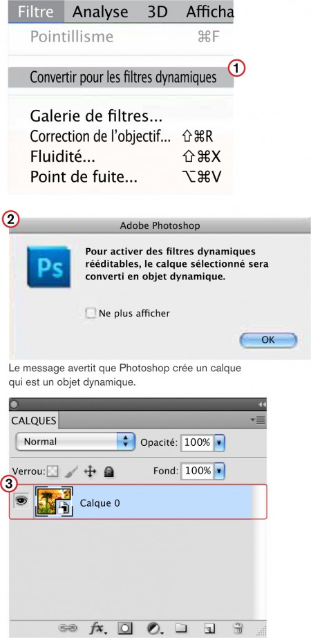 Utiliser les filtres dynamiques de Photoshop - Convertir pour les filtres dynamiques