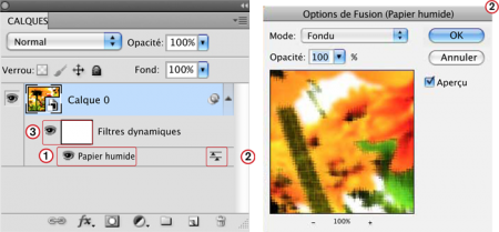 Utiliser les filtres dynamiques de Photoshop - appliquer des filtres avec un objet dynamique