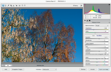 Ouverture d’un fichier DNG de K-3 avec une version 10 de Photoshop Elements